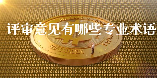 评审意见有哪些专业术语_https://m.sdyuehang.cn_国际期货恒指直播间_第1张