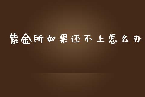 紫金所如果还不上怎么办_https://m.sdyuehang.cn_恒指直播_第1张