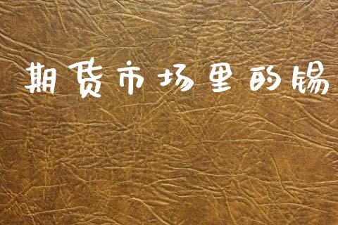 期货市场里的锡_https://m.sdyuehang.cn_国际期货恒指直播间_第1张