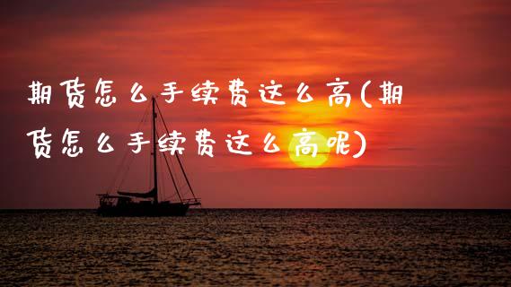 期货怎么手续费这么高(期货怎么手续费这么高呢)_https://m.sdyuehang.cn_德指直播室_第1张