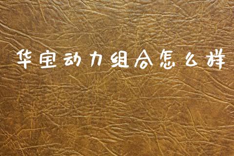 华宝动力组合怎么样_https://m.sdyuehang.cn_恒指直播_第1张