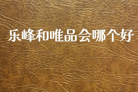 乐峰和唯品会哪个好_https://m.sdyuehang.cn_国际期货恒指直播间_第1张