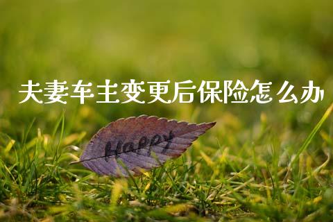 夫妻车主变更后保险怎么办_https://m.sdyuehang.cn_恒指直播_第1张