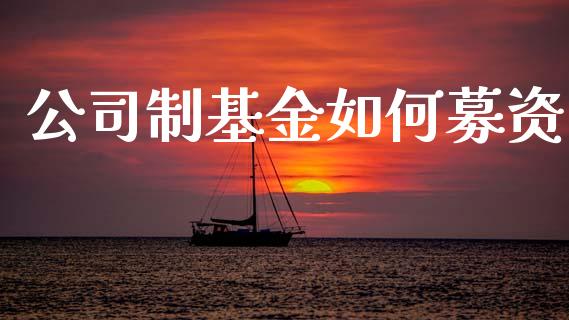 公司制基金如何募资_https://m.sdyuehang.cn_纳指直播喊单_第1张