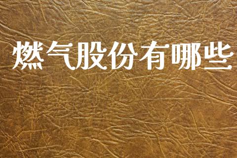 燃气股份有哪些_https://m.sdyuehang.cn_德指直播室_第1张