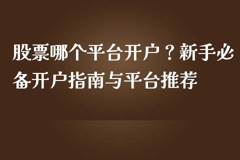 股票哪个平台开户？新手必备开户指南与平台推荐_https://m.sdyuehang.cn_国际期货恒指直播间_第1张