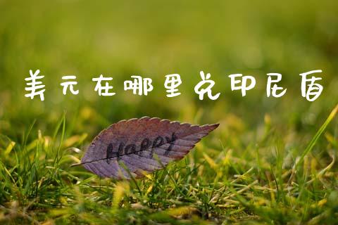 美元在哪里兑印尼盾_https://m.sdyuehang.cn_国际期货恒指直播间_第1张