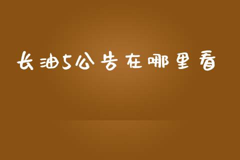 长油5公告在哪里看_https://m.sdyuehang.cn_恒指直播_第1张