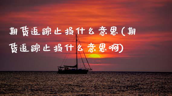 期货追踪止损什么意思(期货追踪止损什么意思啊)_https://m.sdyuehang.cn_德指直播室_第1张