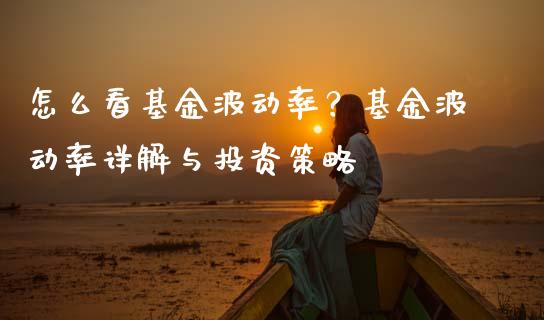 怎么看基金波动率？基金波动率详解与投资策略_https://m.sdyuehang.cn_恒指直播_第1张