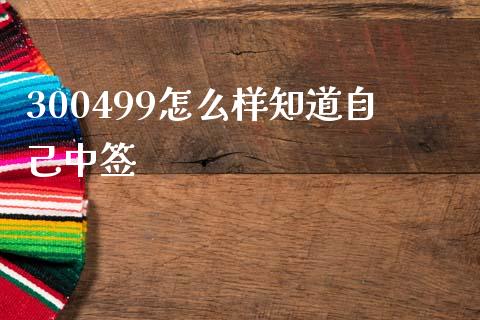300499怎么样知道自己中签_https://m.sdyuehang.cn_德指直播室_第1张