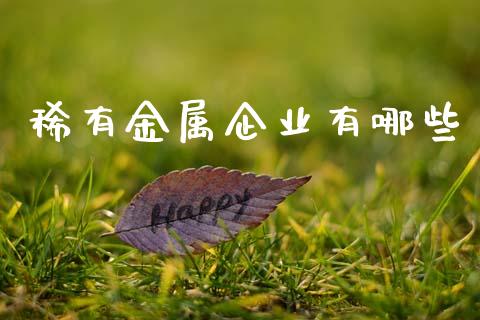 稀有金属企业有哪些_https://m.sdyuehang.cn_恒指直播_第1张