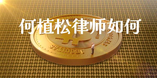 何植松律师如何_https://m.sdyuehang.cn_国际期货恒指直播间_第1张