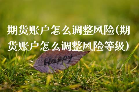期货账户怎么调整风险(期货账户怎么调整风险等级)_https://m.sdyuehang.cn_德指直播室_第1张