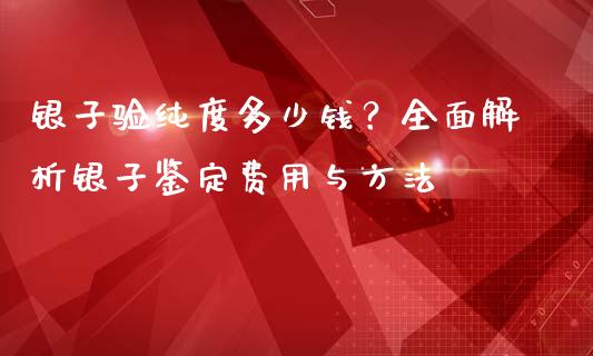 银子验纯度多少钱？全面解析银子鉴定费用与方法_https://m.sdyuehang.cn_德指直播室_第1张