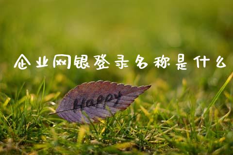 企业网银登录名称是什么_https://m.sdyuehang.cn_恒指直播_第1张