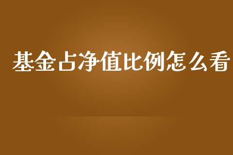 基金占净值比例怎么看_https://m.sdyuehang.cn_德指直播室_第1张
