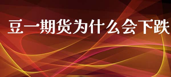 豆一期货为什么会下跌_https://m.sdyuehang.cn_国际期货恒指直播间_第1张