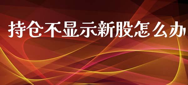 持仓不显示新股怎么办_https://m.sdyuehang.cn_纳指直播喊单_第1张