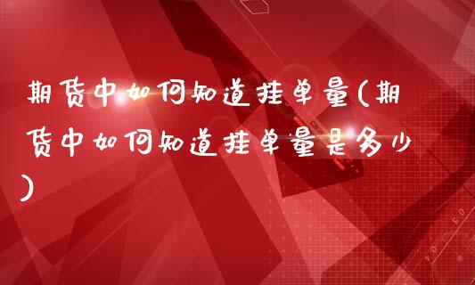 期货中如何知道挂单量(期货中如何知道挂单量是多少)_https://m.sdyuehang.cn_德指直播室_第1张