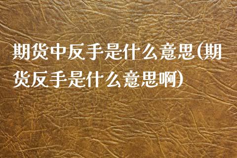 期货中反手是什么意思(期货反手是什么意思啊)_https://m.sdyuehang.cn_国际期货恒指直播间_第1张