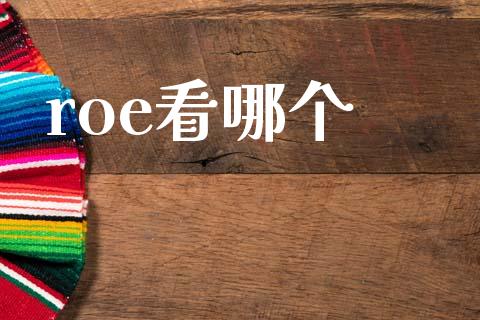 roe看哪个_https://m.sdyuehang.cn_恒指直播_第1张