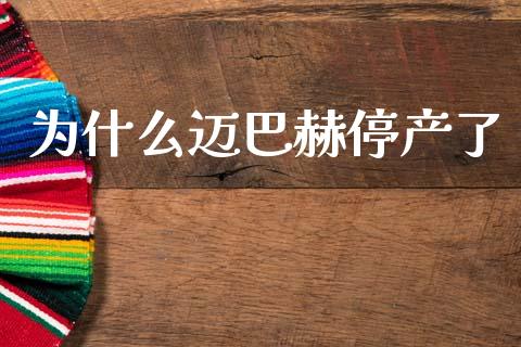 为什么迈巴赫停产了_https://m.sdyuehang.cn_恒指直播_第1张
