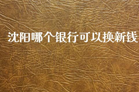 沈阳哪个银行可以换新钱_https://m.sdyuehang.cn_恒指直播_第1张