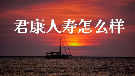 君康人寿怎么样_https://m.sdyuehang.cn_国际期货恒指直播间_第1张