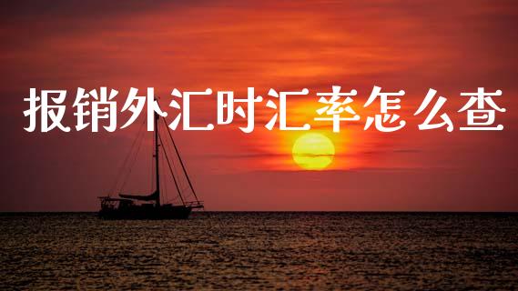 报销外汇时汇率怎么查_https://m.sdyuehang.cn_德指直播室_第1张