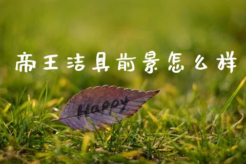 帝王洁具前景怎么样_https://m.sdyuehang.cn_纳指直播喊单_第1张