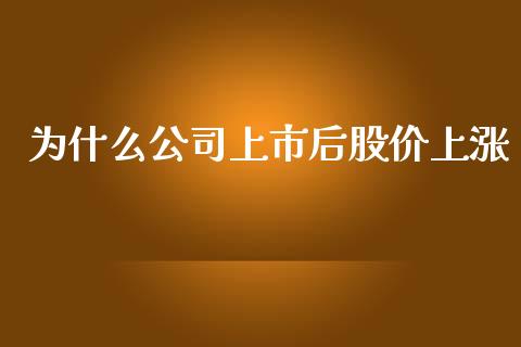 为什么公司上市后股价上涨_https://m.sdyuehang.cn_德指直播室_第1张