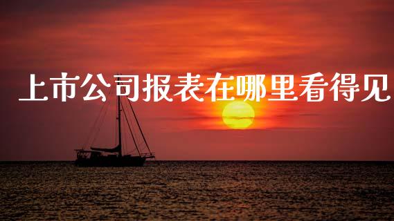 上市公司报表在哪里看得见_https://m.sdyuehang.cn_纳指直播喊单_第1张