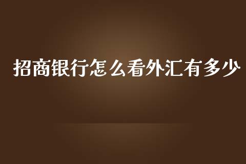 招商银行怎么看外汇有多少_https://m.sdyuehang.cn_纳指直播喊单_第1张