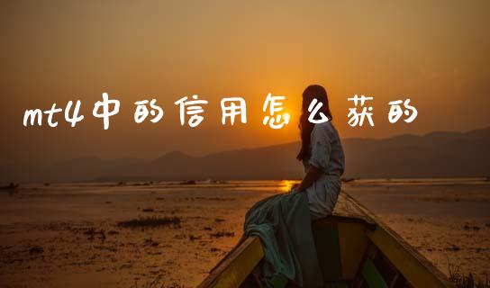 mt4中的信用怎么获的_https://m.sdyuehang.cn_国际期货恒指直播间_第1张