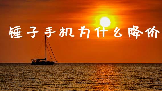 锤子手机为什么降价_https://m.sdyuehang.cn_纳指直播喊单_第1张