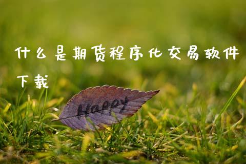 什么是期货程序化交易软件下载_恒指直播_第1张_恒指直播_国际期货恒指直播间_德指直播室_纳指直播喊单 什么是期货程序化交易软件下载_https://m.sdyuehang.cn_恒指直播_第1张