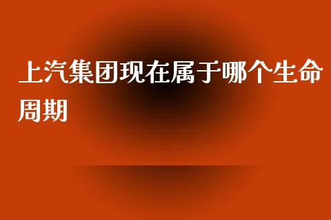 上汽集团现在属于哪个生命周期_https://m.sdyuehang.cn_纳指直播喊单_第1张