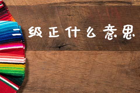 二级正什么意思_https://m.sdyuehang.cn_国际期货恒指直播间_第1张