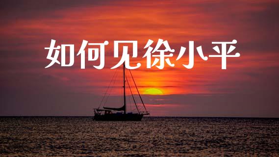 如何见徐小平_https://m.sdyuehang.cn_恒指直播_第1张