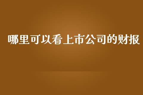 哪里可以看上市公司的财报_https://m.sdyuehang.cn_纳指直播喊单_第1张