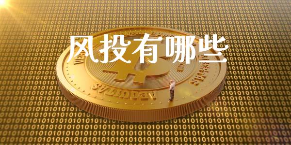 风投有哪些_https://m.sdyuehang.cn_德指直播室_第1张