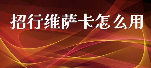 招行维萨卡怎么用_https://m.sdyuehang.cn_恒指直播_第1张