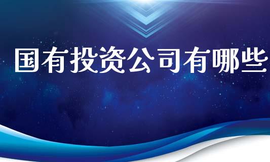 国有投资公司有哪些_https://m.sdyuehang.cn_恒指直播_第1张