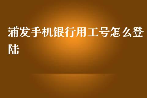 浦发手机银行用工号怎么登陆_https://m.sdyuehang.cn_国际期货恒指直播间_第1张