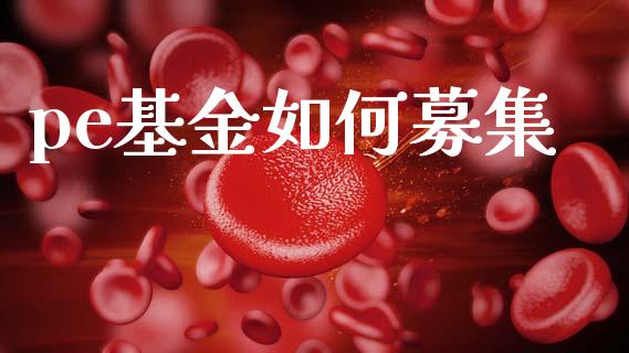 pe基金如何募集_https://m.sdyuehang.cn_国际期货恒指直播间_第1张