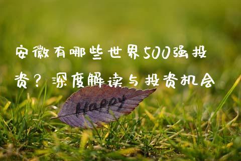 安徽有哪些世界500强投资？深度解读与投资机会_https://m.sdyuehang.cn_德指直播室_第1张
