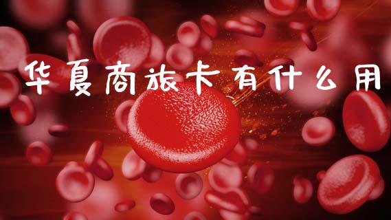 华夏商旅卡有什么用_https://m.sdyuehang.cn_德指直播室_第1张