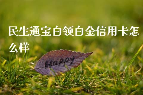 民生通宝白领白金信用卡怎么样_https://m.sdyuehang.cn_纳指直播喊单_第1张
