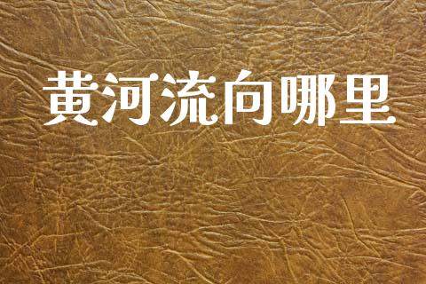 黄河流向哪里_https://m.sdyuehang.cn_德指直播室_第1张